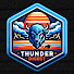 dXTndLVtB2Q-channel-avatar-Thunder Digest