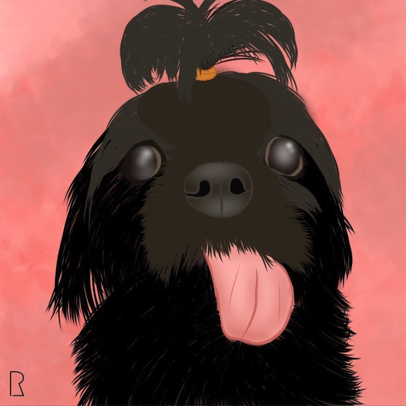 Ivy’s Shih Tzu Life