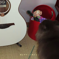 Bokuhaguitargahikenai - Topic