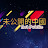 未公开的中国