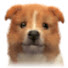 LNvgWwoKbYs-channel-avatar-smallpups