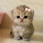 @Bahar-x7x5y