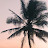 @DosenBaikkkkkkkk Avatar