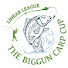 iKbNuYNpzRI-channel-avatar-The Biggun Carp Cup - Linear League
