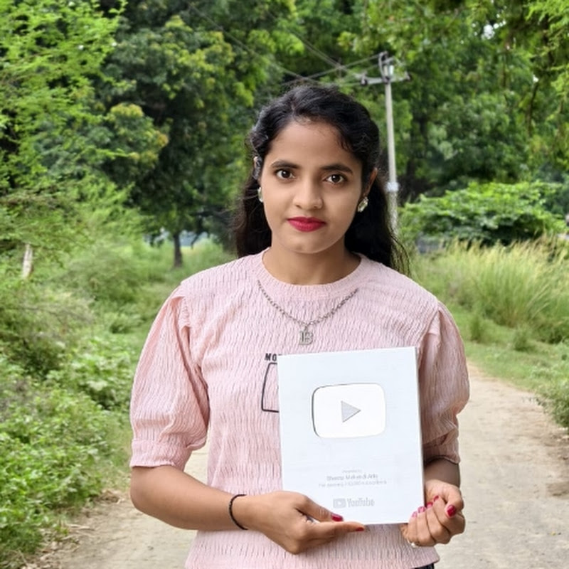 Shweta Mehendi  Arts