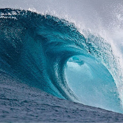 The Wave