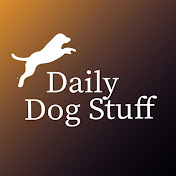 Daily Dog Stuff