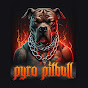 The Pyro Pit Bull