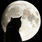 Lonely Cat & Moon  