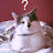 @lesavantdelaveille's avatar
