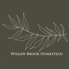 Willow Brook Homestead net worth