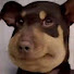 8ez_tiLThX8-channel-avatar-CozyCorner
