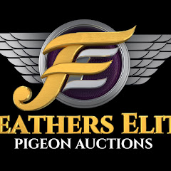 Feathers Elite Pigeon Auctions