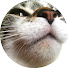 06UmybRzNDA-channel-avatar-grmt
