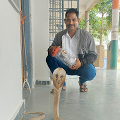 Sagar snake society Avatar