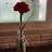 @박영규-p5g