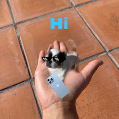 Hire Butter puppy XD — Wildlife & Nature Documentaries (Animals) YouTube creator for sponsorships