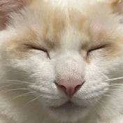 いつかのASMR_Someday's asmr