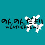 のんのんだよりweathernews【切り抜き】