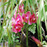 xkLXw8ezGXk-channel-avatar-Sweet Johnny's Ponds & Aquariums