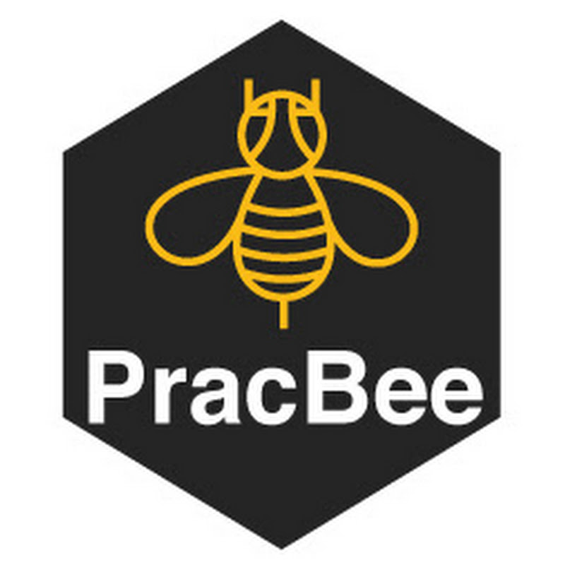 PracBeeMentors'