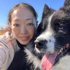 Yoshiko🇫🇷フランス田舎暮らし、動物達と時々バレエアイコン画像