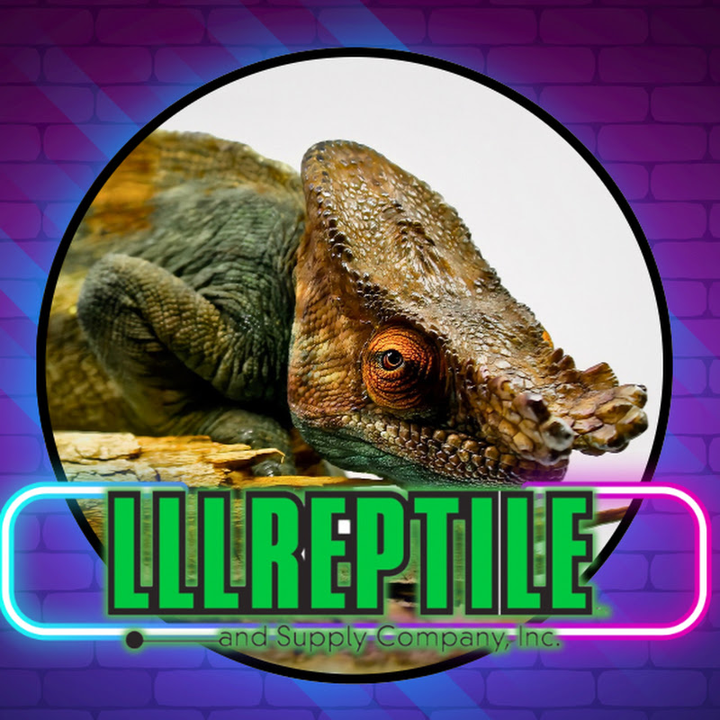 LLLReptile