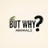 SGhU0hSEZqU-channel-avatar-But Why Animals