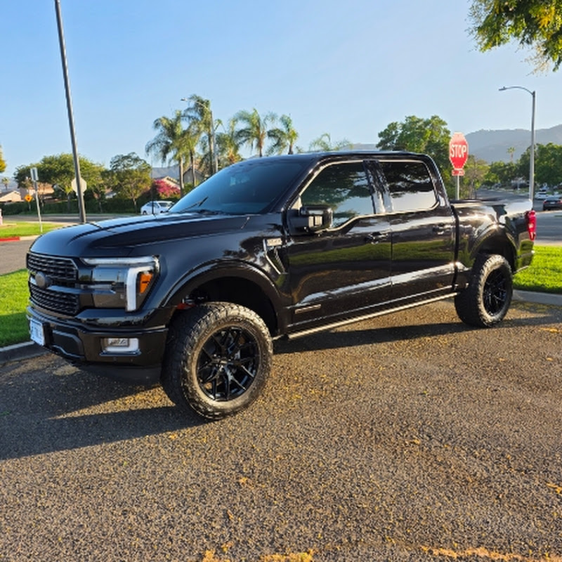 25Powerbeast