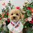 @BOKSIL_TV