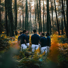 Live Konzerte von Boulevard des Airs