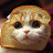 Breadcatyt