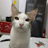 b197_VtE10Y-channel-avatar-Kfunnypost 