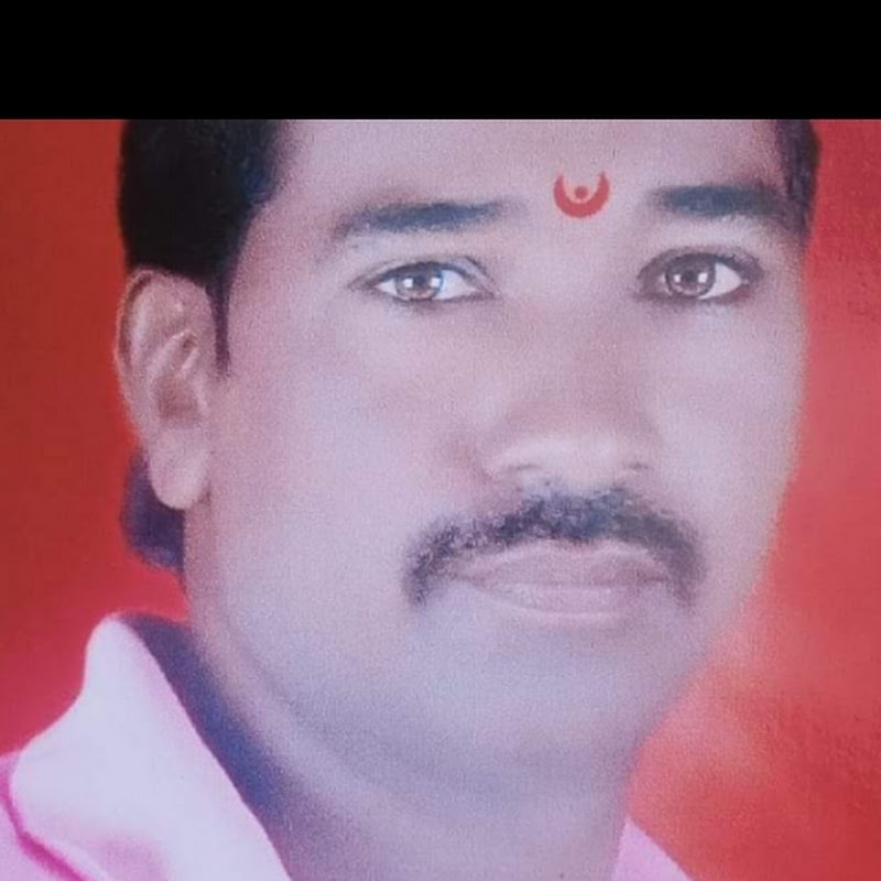 Mr Vishnu First Look 