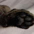 Channel Image
