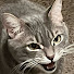 tIffSd5SCJA-channel-avatar-I Am M3