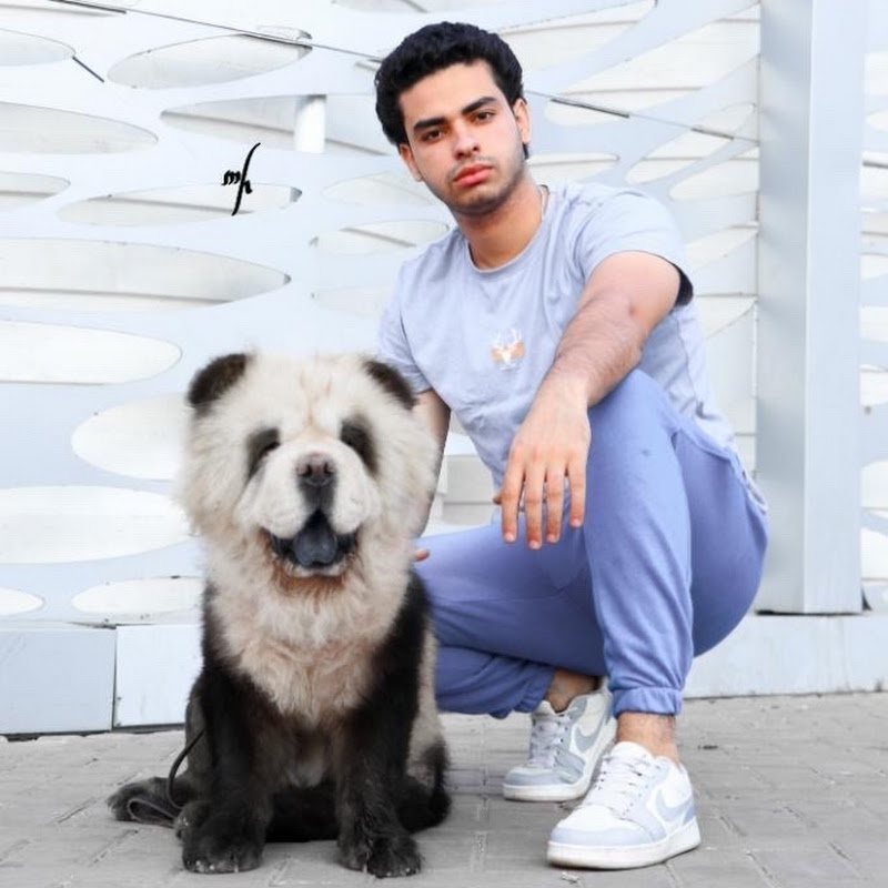 مزرعة الابيض مصطفى الابيض