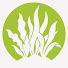 fnp2jJ8PK-0-channel-avatar-Microvarium - Small Space Terrariums and Aquariums