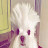 @Yode_8014 Avatar