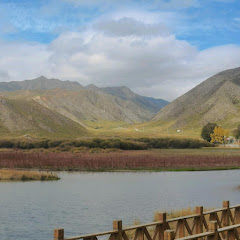 家庭琐事アイコン画像