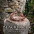 GzCntv_9x9k-channel-avatar-Blackwater Metal Crafts