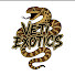 2hTZghUwq8E-channel-avatar-Veti Exotics