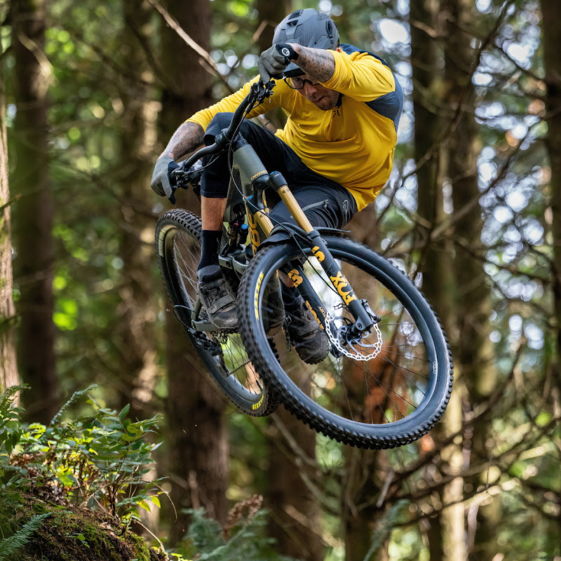 Geoff Gulevich