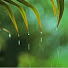 _q1pkj2zSko-channel-avatar-Rain Piano Relaxing
