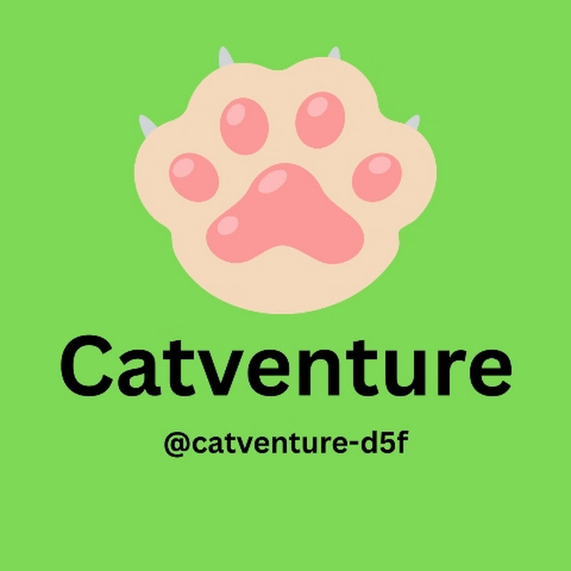 Catventure 