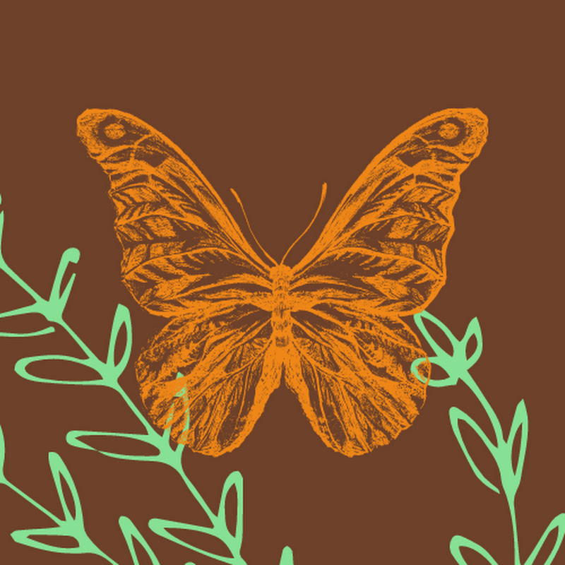 The Other Side icon