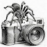 Yq7ZLdc_UGo-channel-avatar-MYGALEFILMS