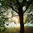 @dread_rat's avatar