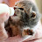 @MeowMeow-tg8tf Avatar