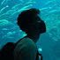 YlbeehMqoDw-channel-avatar-Ninos Kino
